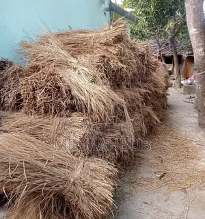 গরুর খেড় বিক্রি হবে