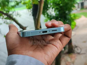 Samsung Galaxy A55 256 GB