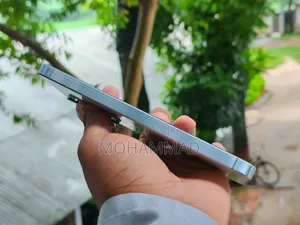 Samsung Galaxy A55 256 GB