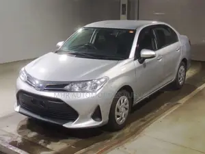 Toyota Axio 2021 Silver