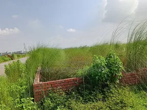 Sector-9, South Facing 3 Katha Plot Sale
