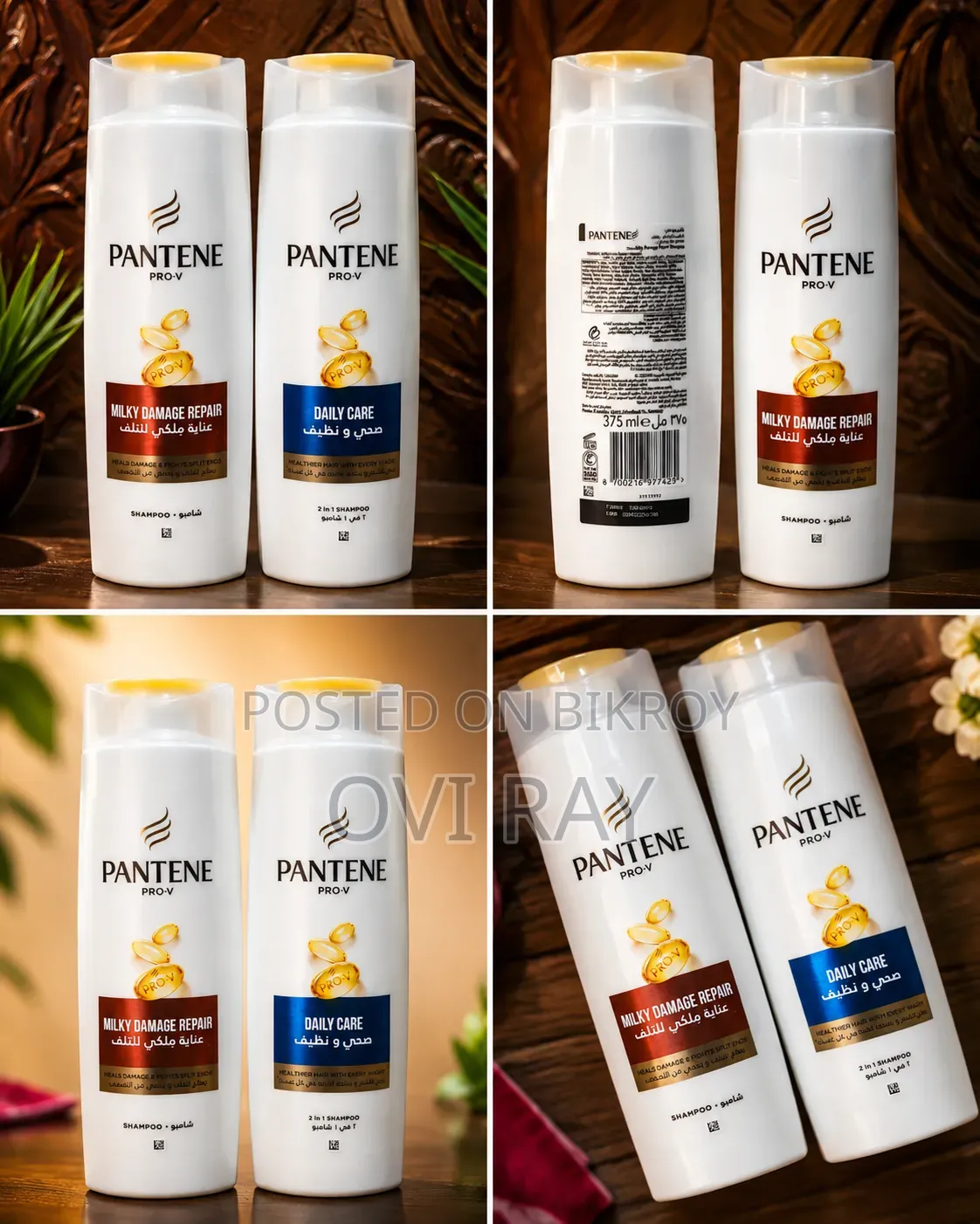 Pantene Shampoo