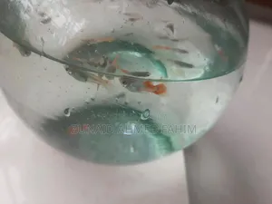 Guppy Red Head Santa Claus