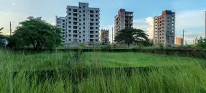 জরুরী বিক্রি | ৪ কাঠা প্লট | এম ব্লক | বসুন্ধরা আ/এ