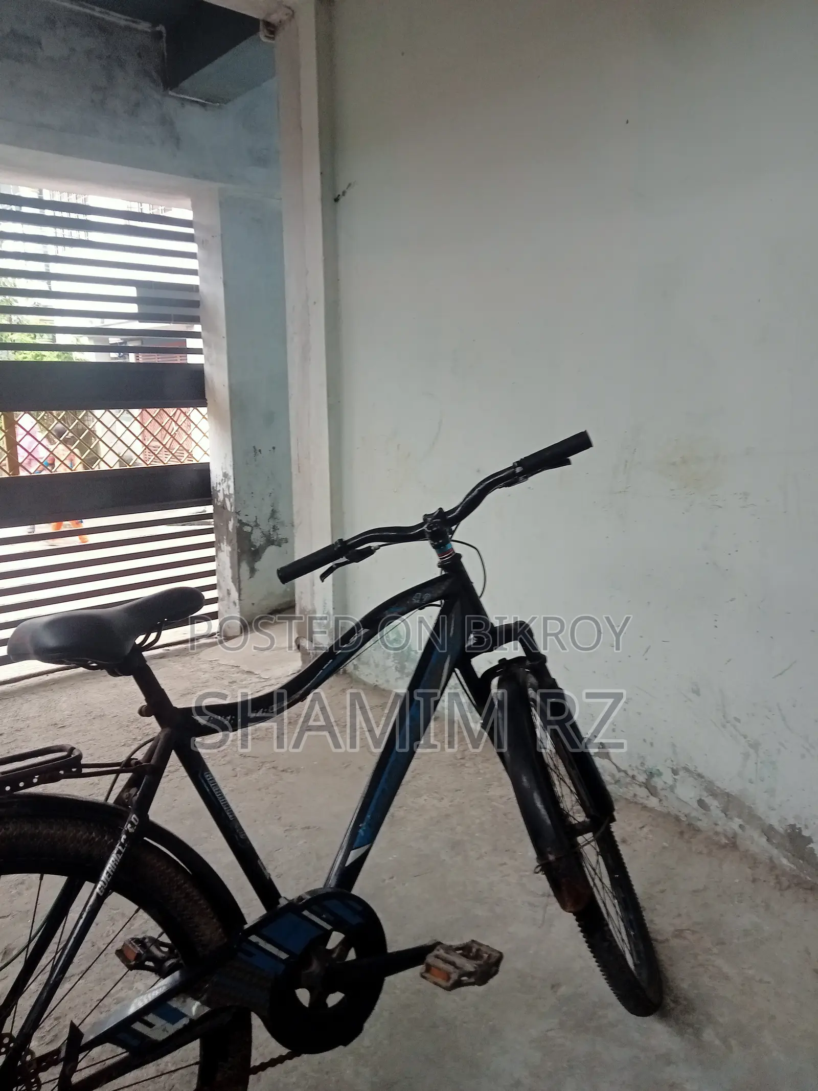 Motorcycle 2024 Blue