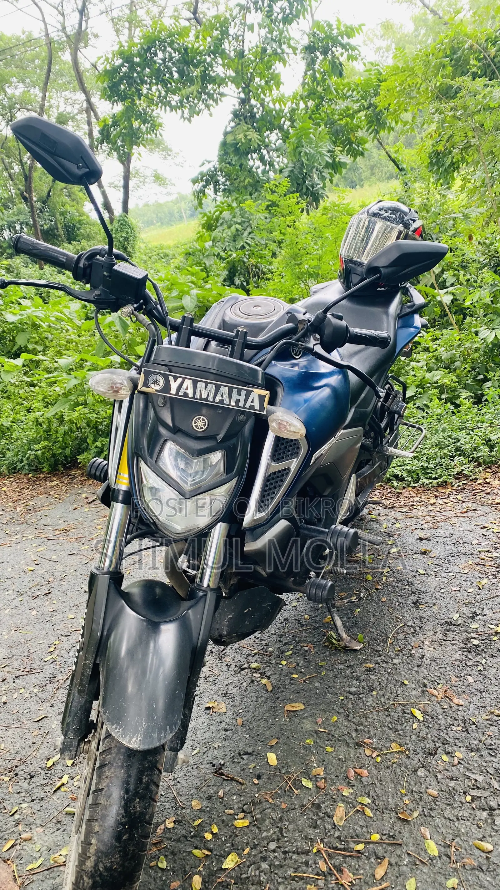 Yamaha FZ 2021 Blue