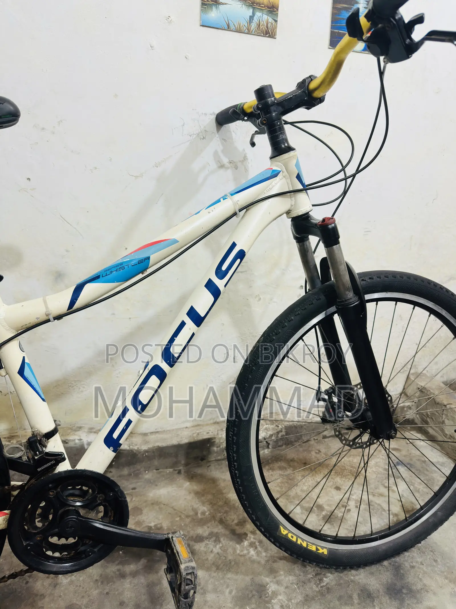 Focus Gear Cycle 27” Aluminium Alloy Fresh Condition