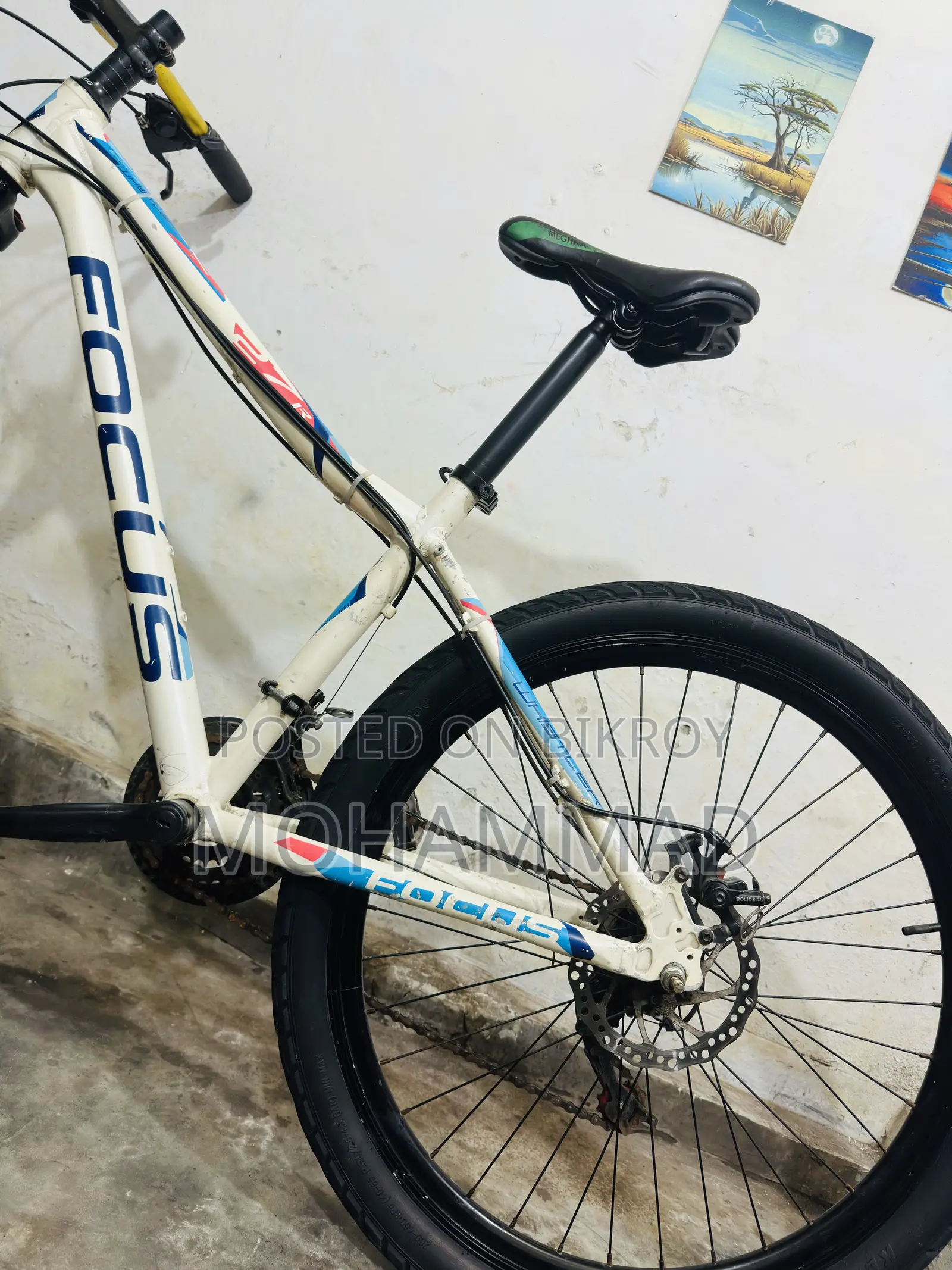 Focus Gear Cycle 27” Aluminium Alloy Fresh Condition