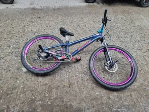 BOARSE San 6.1৷ Cycle