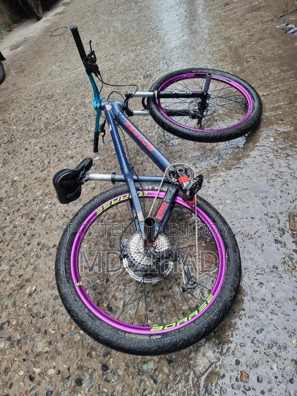 BOARSE San 6.1৷ Cycle