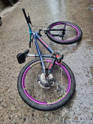 BOARSE San 6.1৷ Cycle