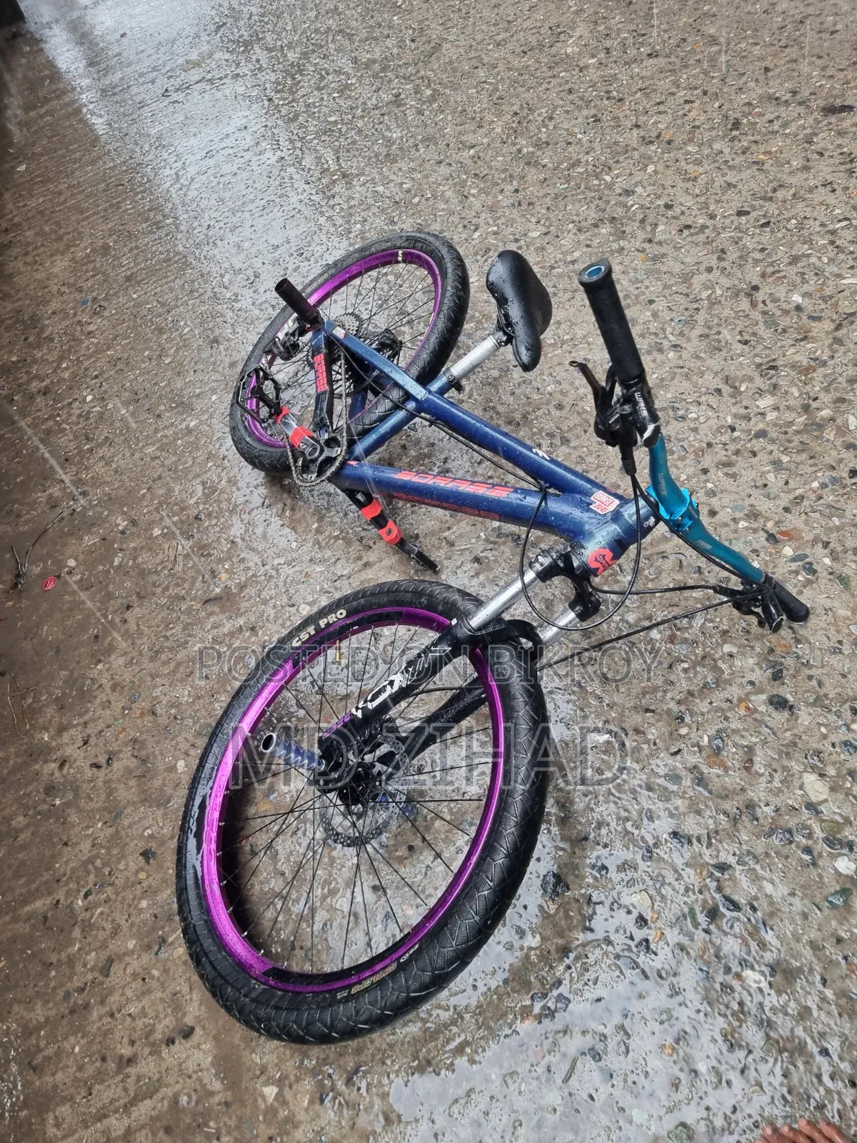BOARSE San 6.1৷ Cycle