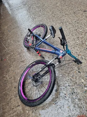 BOARSE San 6.1৷ Cycle