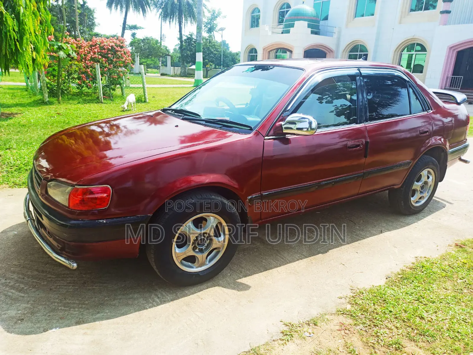 Toyota Corolla 1995 Maroon