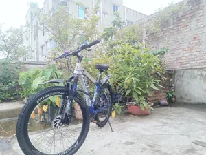 Phoenix Duster A