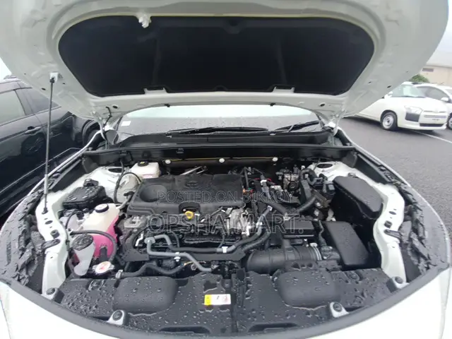 Toyota Harrier 2021 Pearl