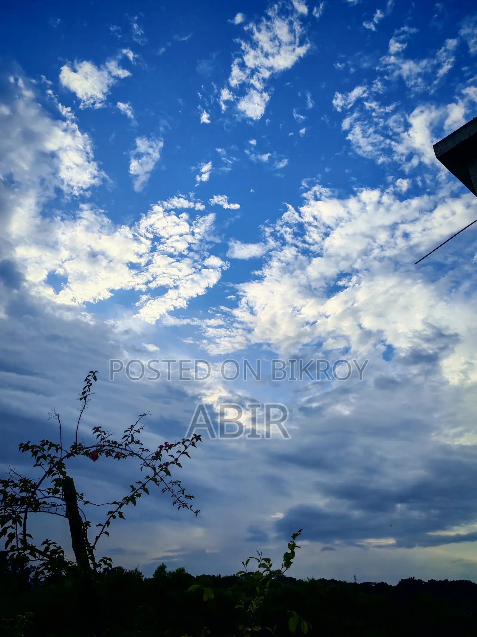 অনার ২০০ ৫১২ জিবি কালো