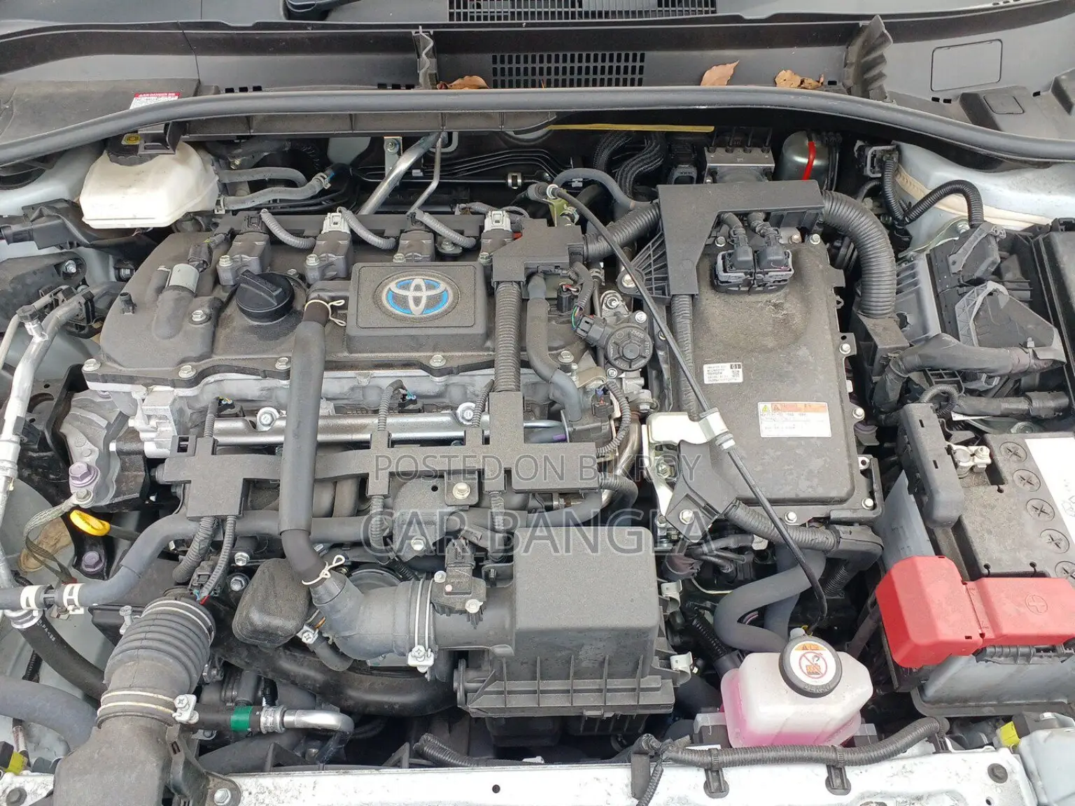 Toyota Corolla Cross 2023 Pearl