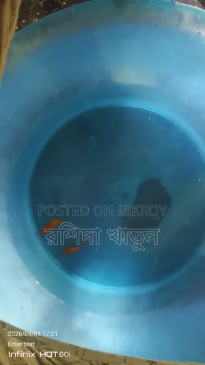 Fish for sell