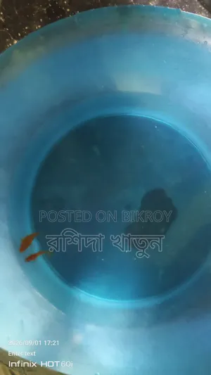 Fish for sell