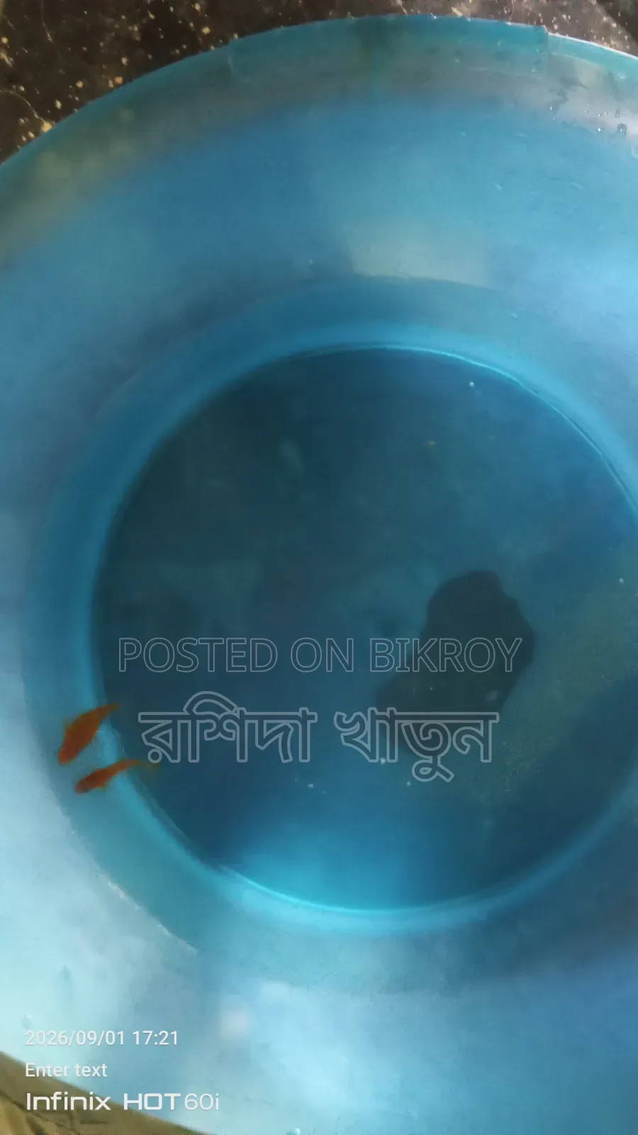 Fish for sell