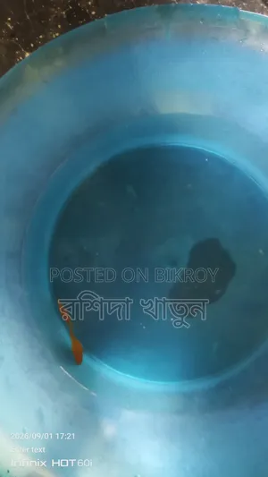Fish for sell