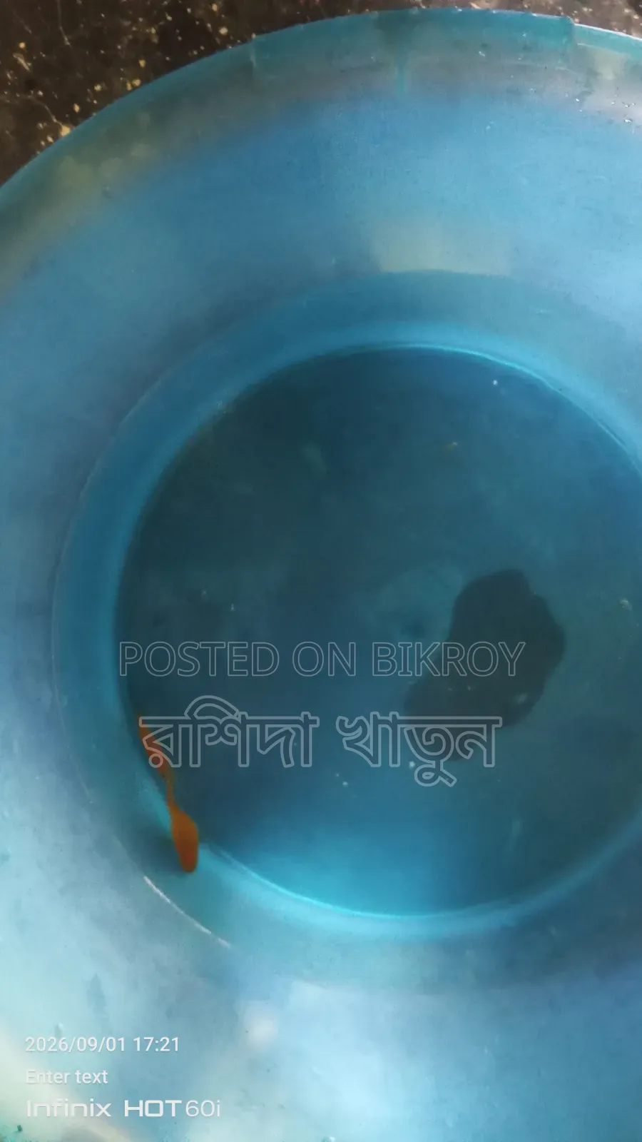 Fish for sell