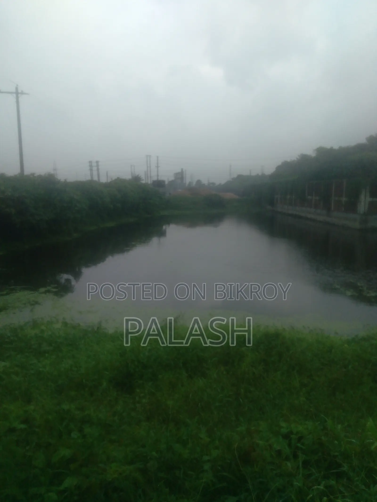 ৫৩ শতাংশ জমি বিক্রি হবে