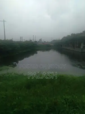 ৫৩ শতাংশ জমি বিক্রি হবে