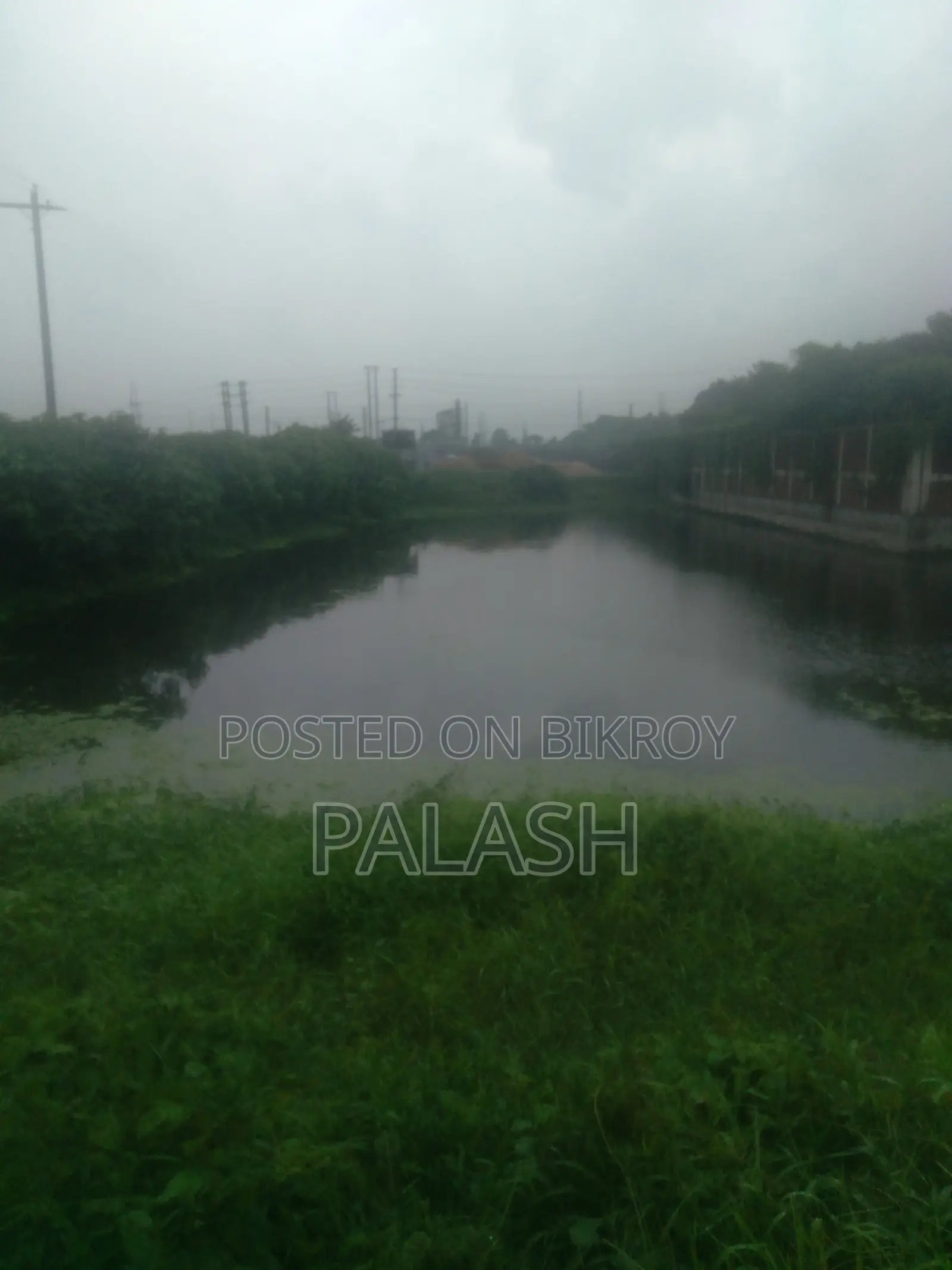 ৫৩ শতাংশ জমি বিক্রি হবে