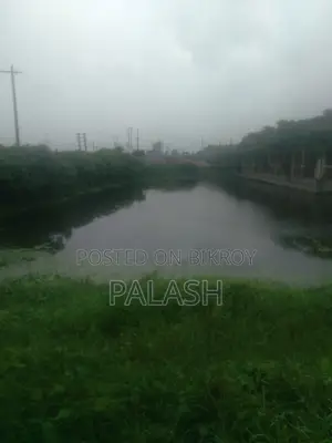 ৫৩ শতাংশ জমি বিক্রি হবে