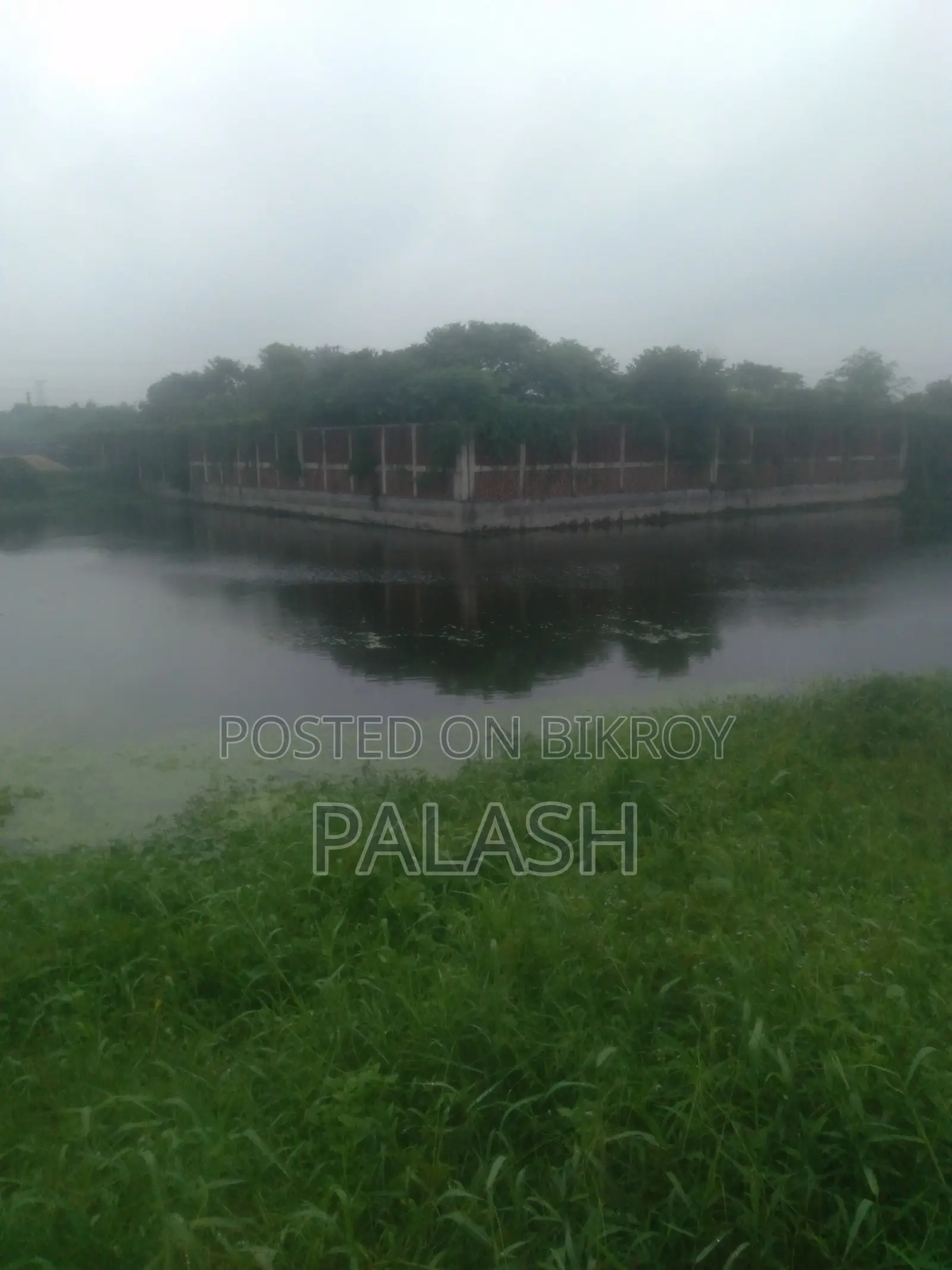 ৫৩ শতাংশ জমি বিক্রি হবে
