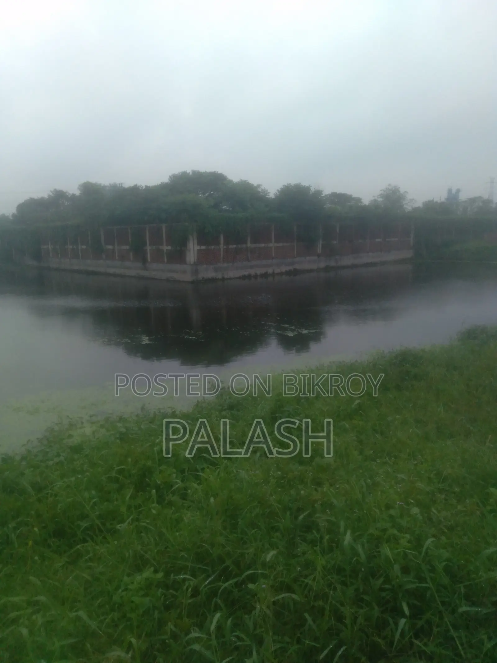 ৫৩ শতাংশ জমি বিক্রি হবে