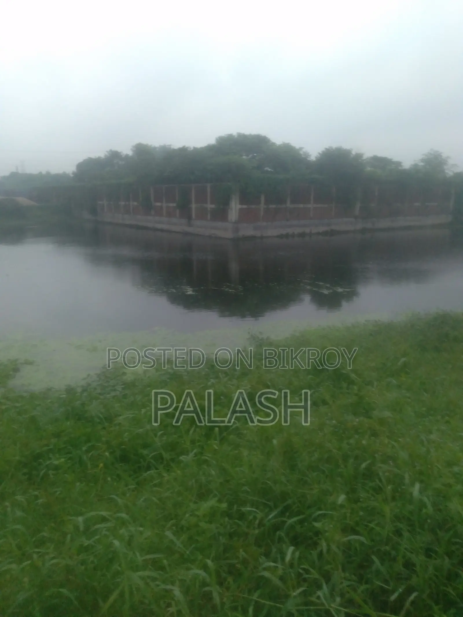 ৫৩ শতাংশ জমি বিক্রি হবে