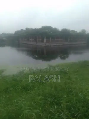 ৫৩ শতাংশ জমি বিক্রি হবে