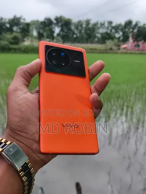 Vivo X80 256 GB Orange