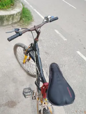 প্রিন্স সাইকেল