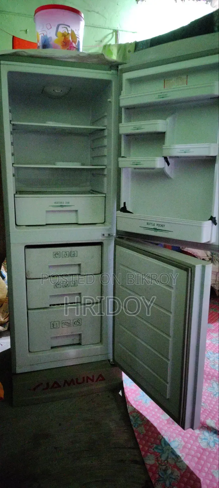 Jamuna Fridge 248ltr