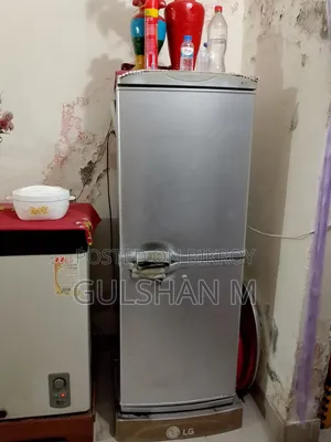 LG Fridge 10.5 CFT