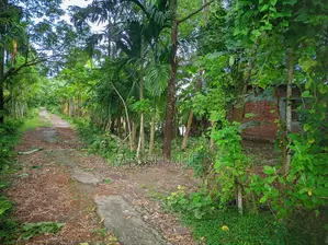 5bdrm House in ভোলা, Bhola Sadar for sale