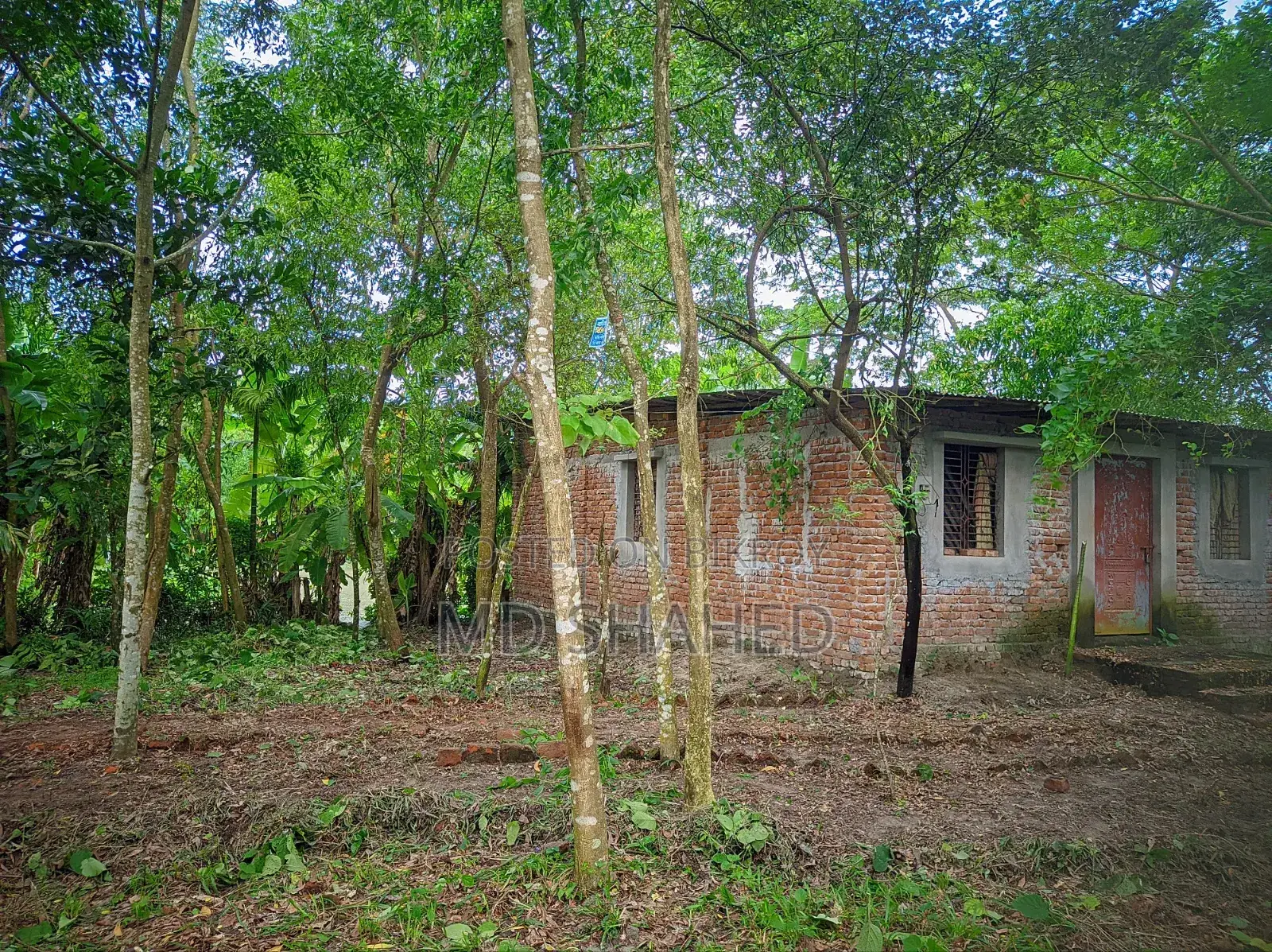 5-Bedroom House in Bhola, Bhola Sadar for sale