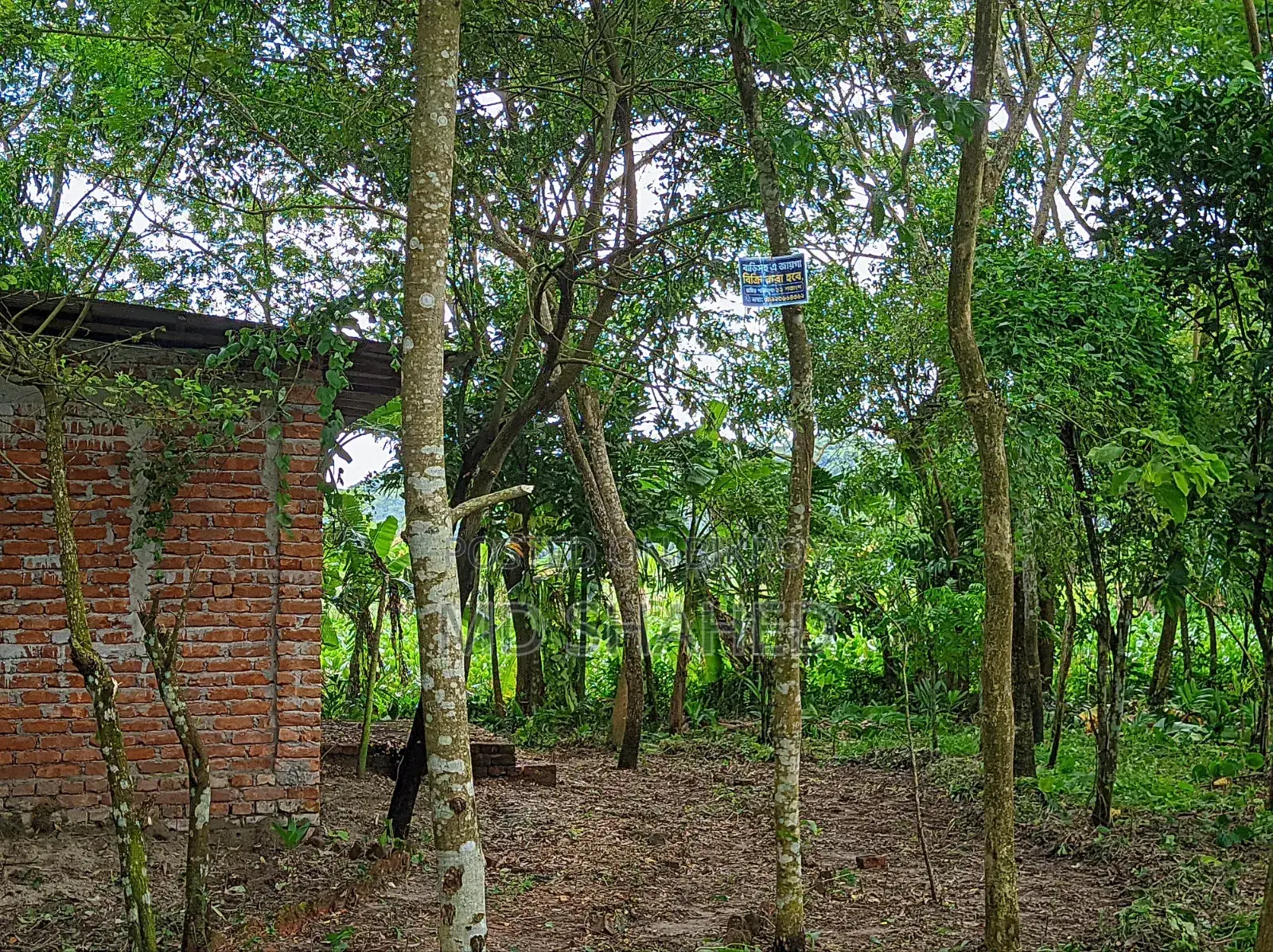 5-Bedroom House in Bhola, Bhola Sadar for sale
