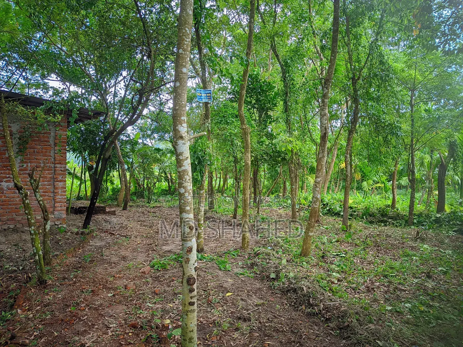 5-Bedroom House in Bhola, Bhola Sadar for sale