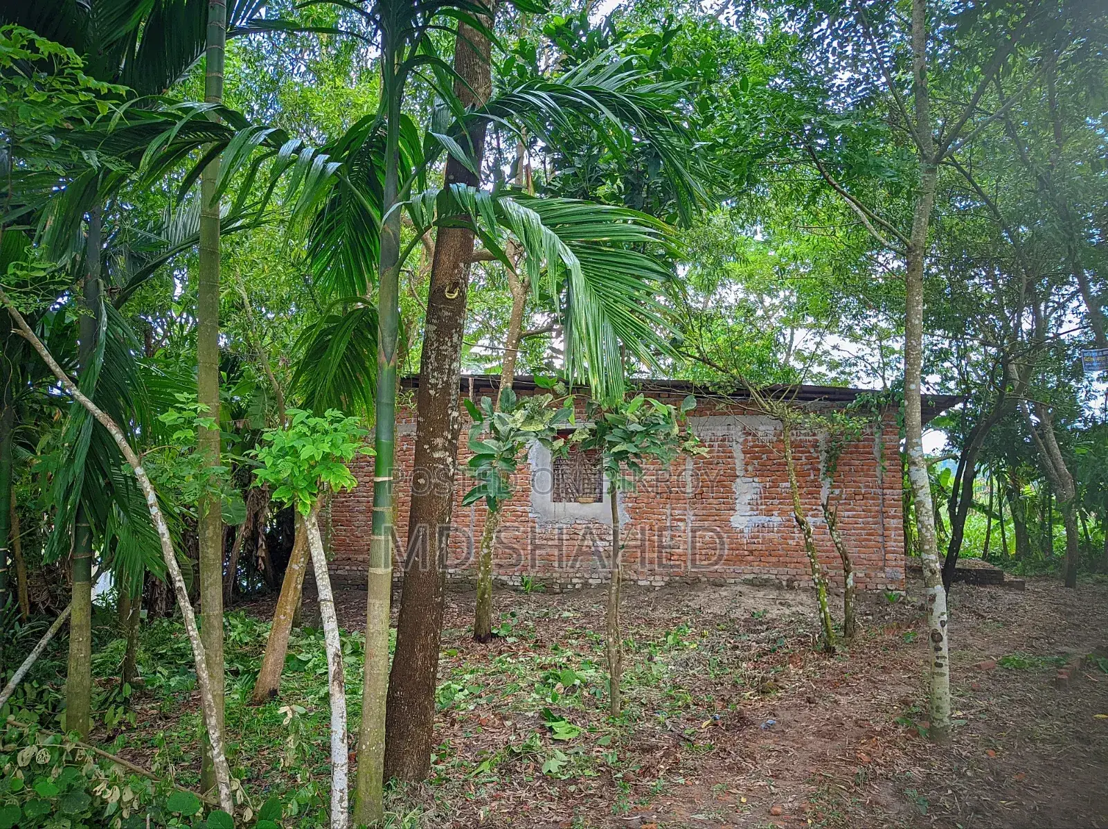 5-Bedroom House in Bhola, Bhola Sadar for sale