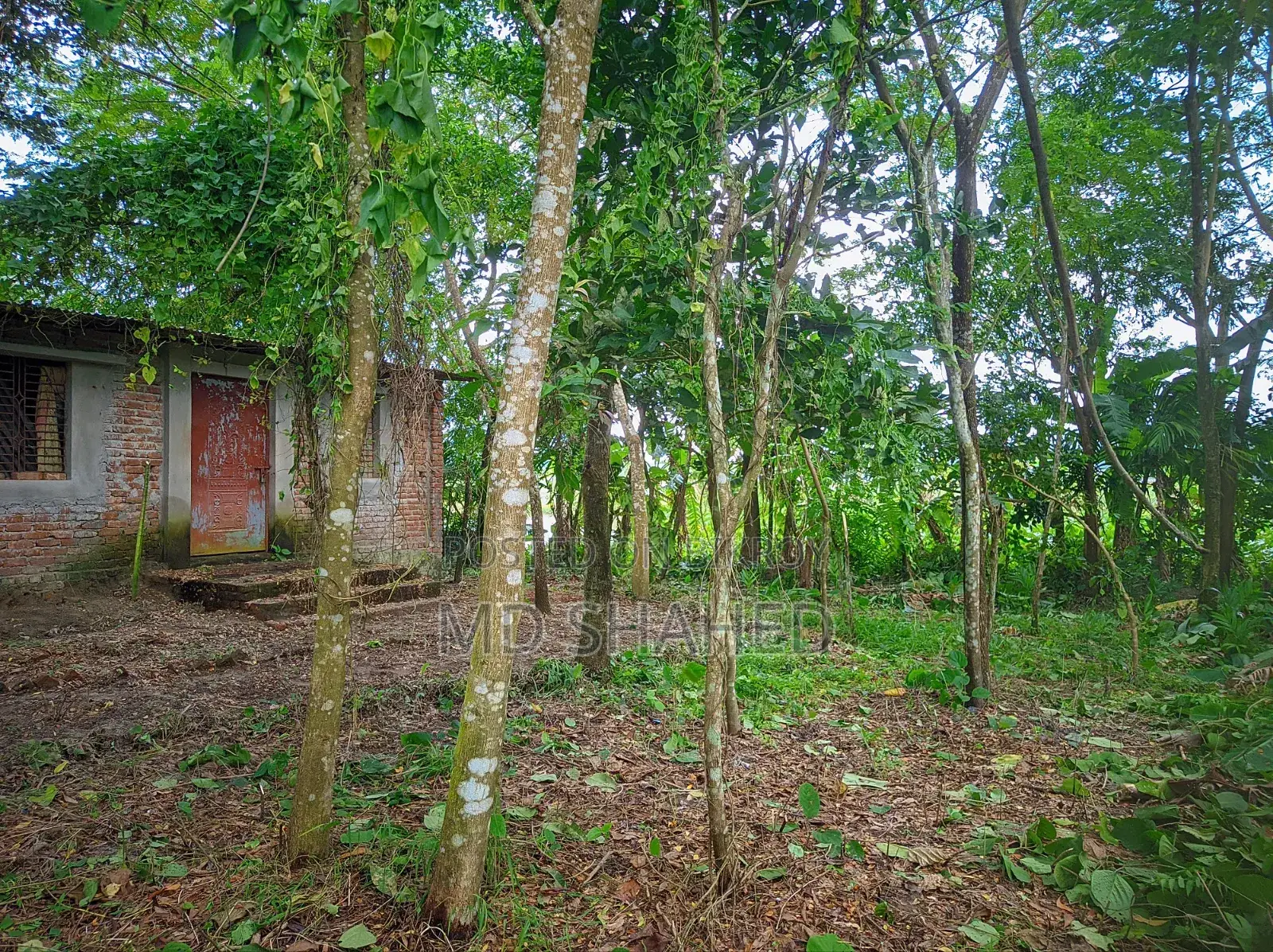 5-Bedroom House in Bhola, Bhola Sadar for sale