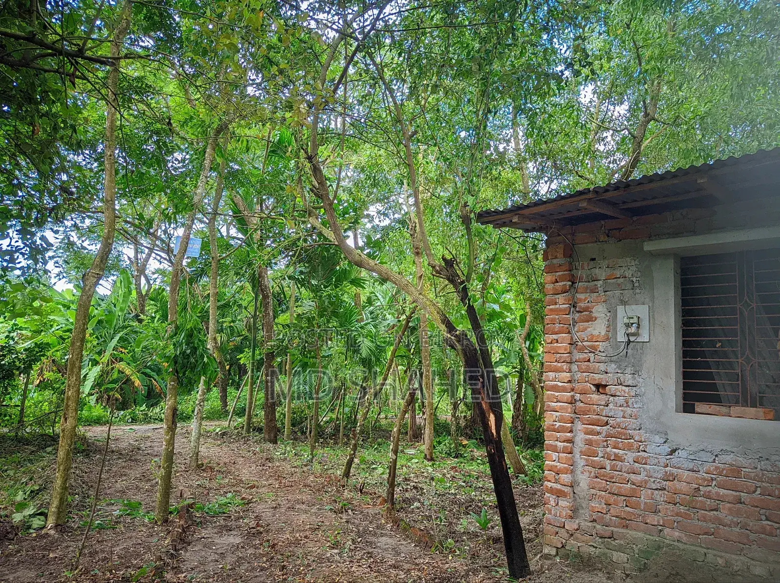 5-Bedroom House in Bhola, Bhola Sadar for sale