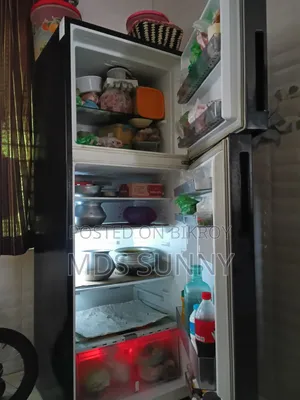 Singer Fridge