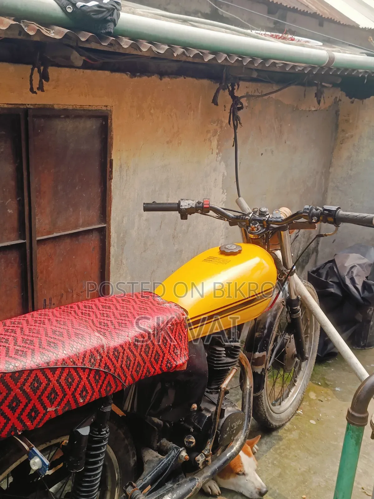 Bajaj CT 125X 2018 Yellow
