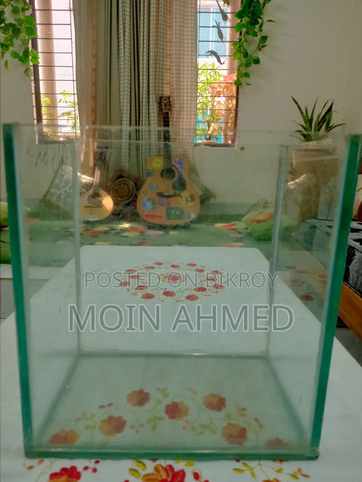 Betta Fish Tank / ছোট একুরিয়াম