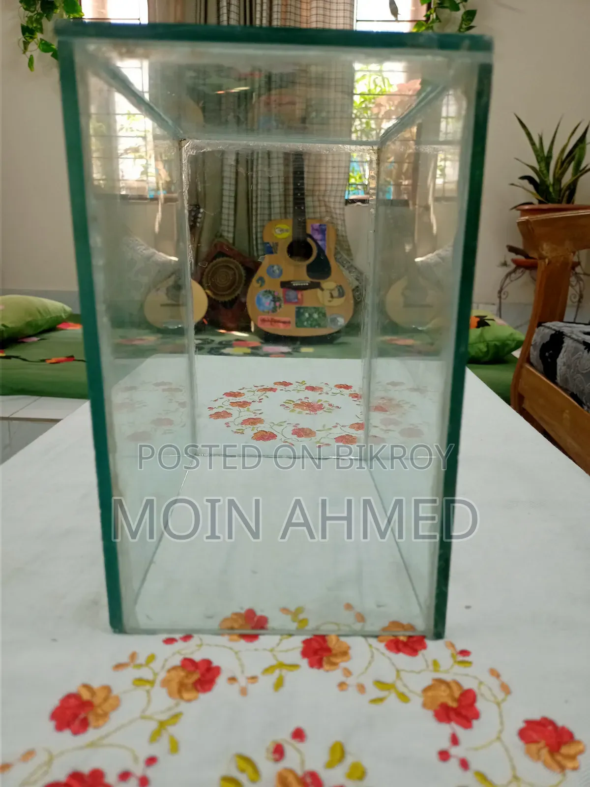 Betta Fish Tank / ছোট একুরিয়াম